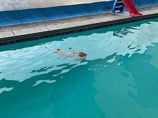 Gem Swim main photo