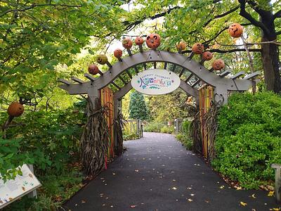 Everett Children's Adventure Garden, NYBG main photo
