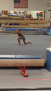 The Gymnastics Company (TGC) photo 3