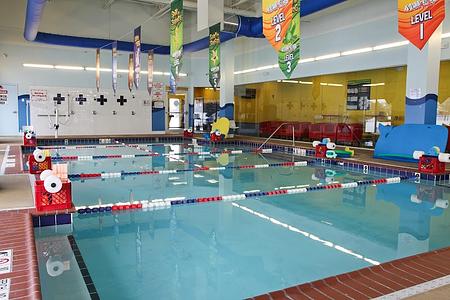 Aqua-Tots Swim School Des Moines photo 2