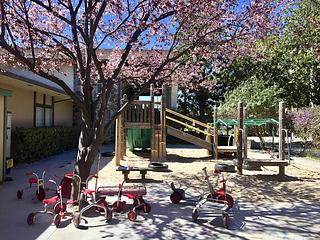 Explorer Preschool main photo