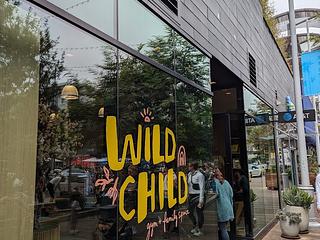 Wild Child Gym main photo
