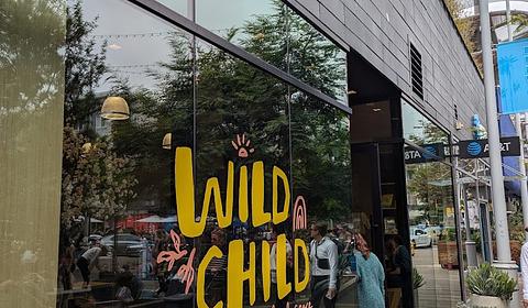 Wild Child Gym main photo