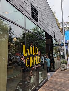 Wild Child Gym main photo