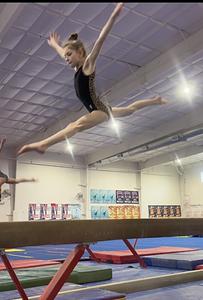Love Gymnastics main photo