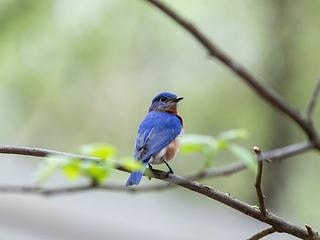 Dunwoody Nature Center main photo