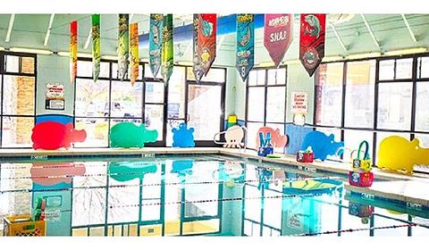 Aqua-Tots Swim School Glendale main photo