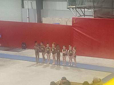 AcroSports and The Fieldhouse photo 3
