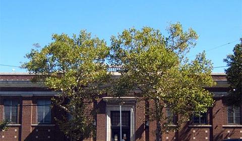 Paschalville Library main photo