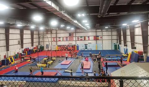 Gym-Nest main photo
