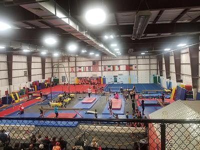 Gym-Nest main photo