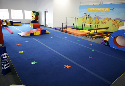 Gold Medal Gymnastics Center main photo