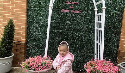 Bella Ballet main photo