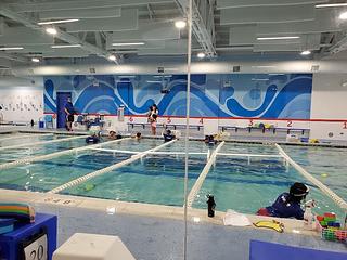 Big Blue Swim School main photo