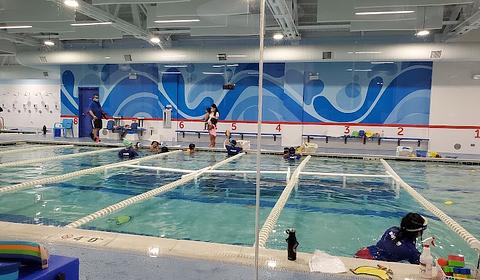 Big Blue Swim School main photo
