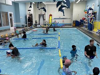 The Little Dolphin Swim Academy main photo