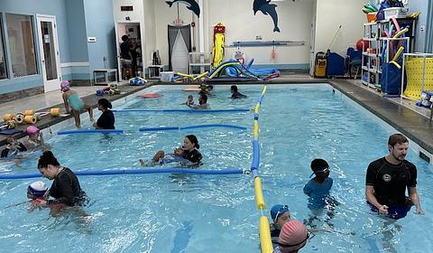 The Little Dolphin Swim Academy main photo