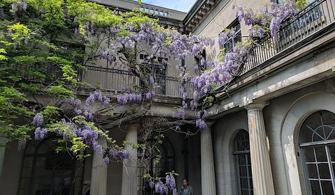 Van Vleck House & Gardens main photo