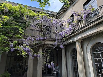 Van Vleck House & Gardens main photo