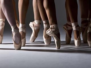 Princeton Dance & Theater main photo