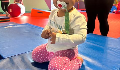 The Little Gym of Eagan main photo