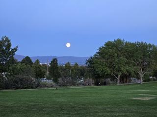 Taylor Ranch Library Park main photo