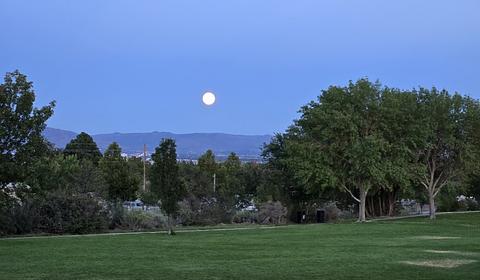 Taylor Ranch Library Park main photo