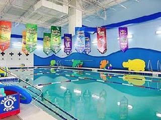 Aqua-Tots Swim School Sterling Heights main photo
