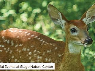 Stage Nature Center main photo