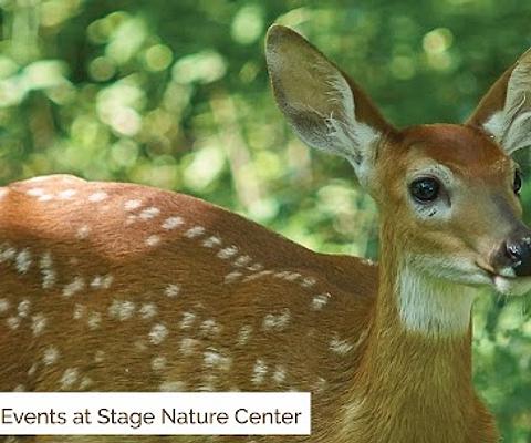 Stage Nature Center main photo