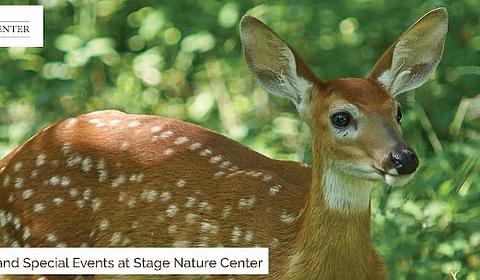 Stage Nature Center main photo