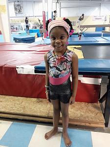 Lanier School of Gymnastics photo 2