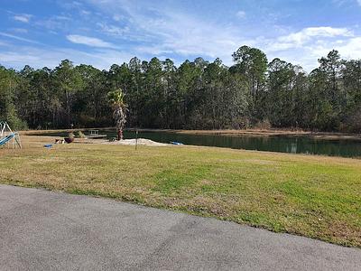 Lil Shrimps Swim Academy photo 3