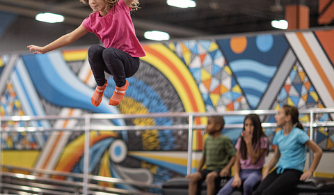 Sky Zone Madison main photo