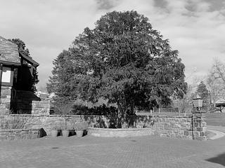 Rowayton Library main photo