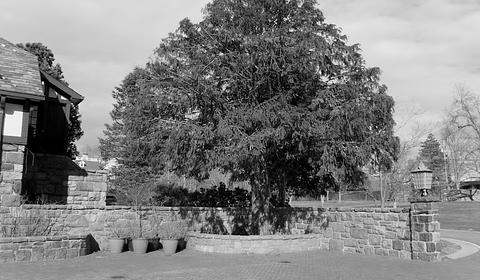 Rowayton Library main photo