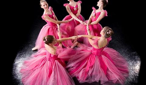 Springfield Ballet main photo