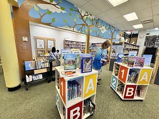 Plainview-Old Bethpage Library main photo