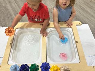 Mini Movement Center main photo