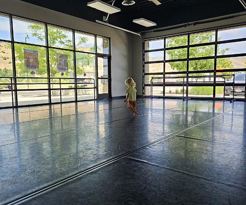 Boise Dance Alliance main photo