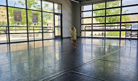 Boise Dance Alliance main photo