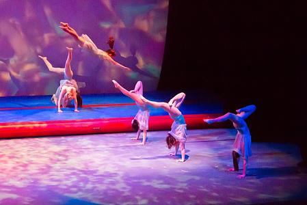 Roots Gymnastics & Dance main photo
