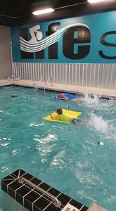 LifeSTROKES Swim School main photo