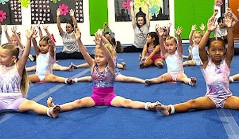 Desert Gymcats Gymnastics main photo