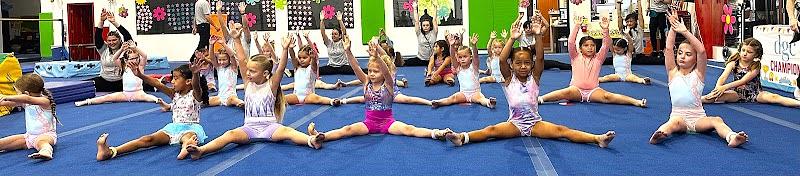 Desert Gymcats Gymnastics main photo
