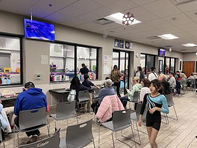 Desert Gymcats Flip 'N Twist photo 2