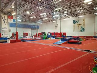 GYMCATS main photo