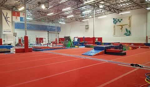 GYMCATS main photo