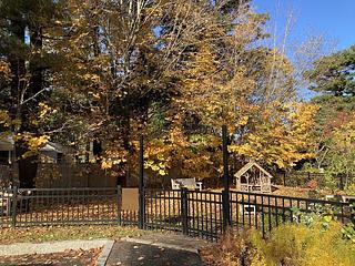 Wellesley Free Library -- Fells Branch main photo
