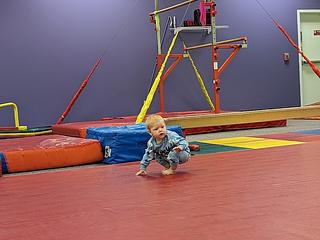 The Little Gym main photo